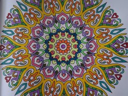 whatsapp bild 2025-03-28 um 17.51.03_fc903744